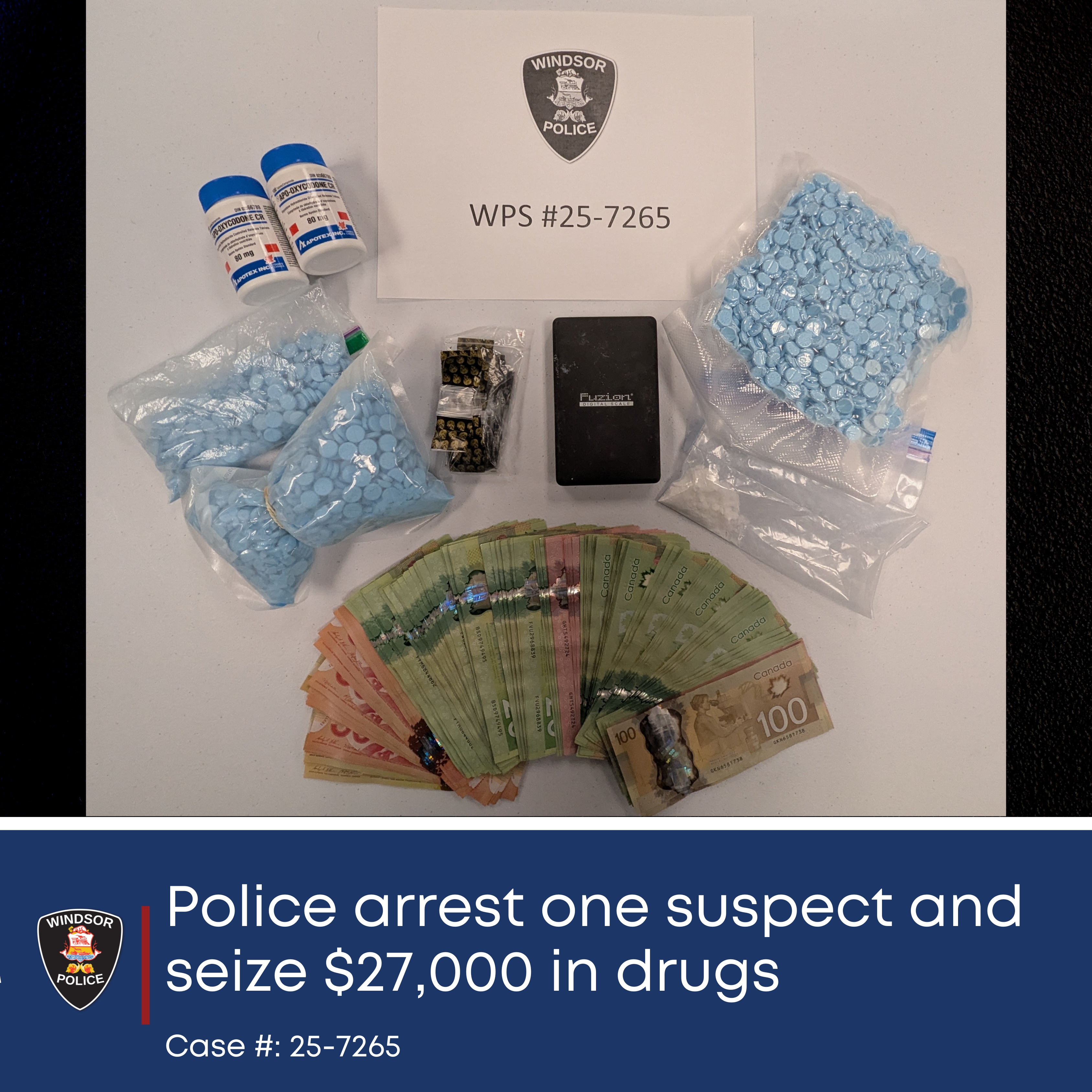 Photo of DIGS seizure 